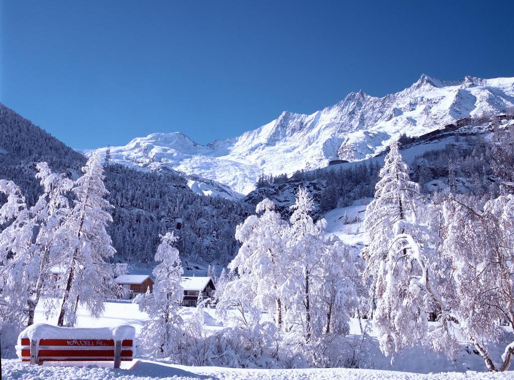 Adora Apartment Saas-Fee Room photo